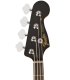 Fender Limited Edition Player Jazz Bass Ebony Black